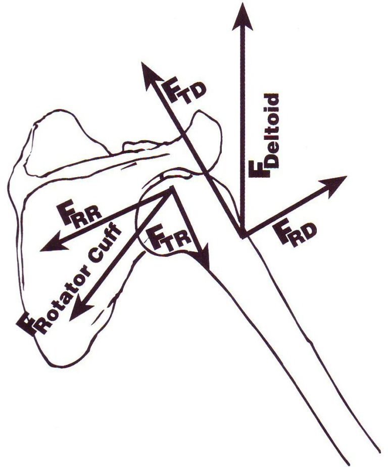 Operative versus non-operative treatment for the management of full-thickness rotator cuff tears